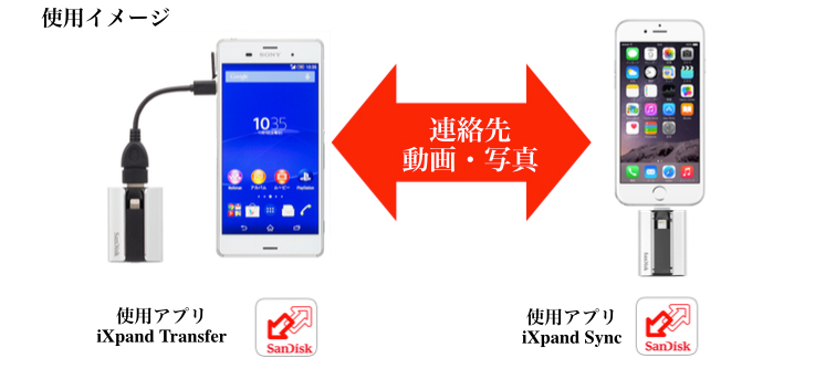 Sandisk Usb Otgホストケーブル